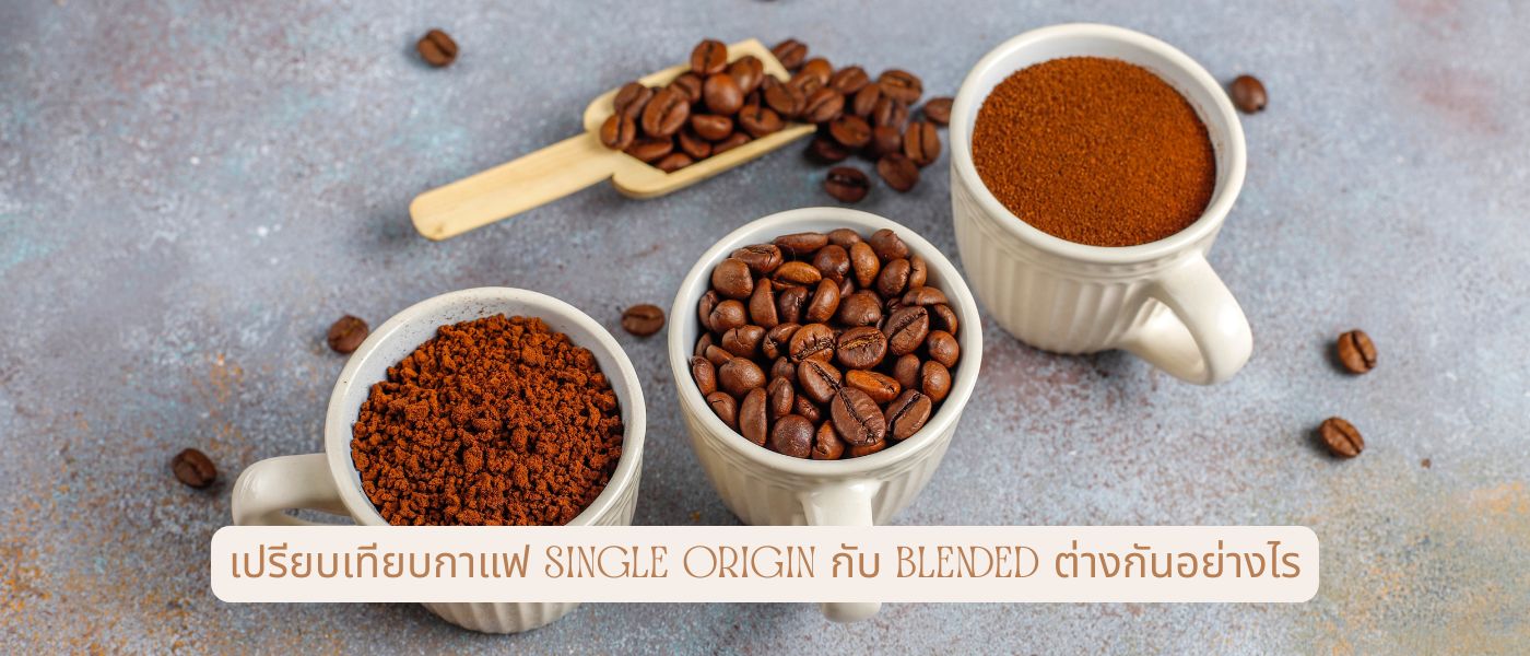 เปรียบเทียบกาแฟ single origin กับ blended ต่างกันอย่างไร