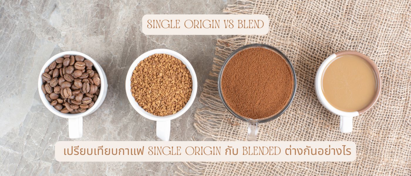 Single Origin vs Blend เปรียบเทียบกาแฟ single origin กับ blended ต่างกันอย่างไร